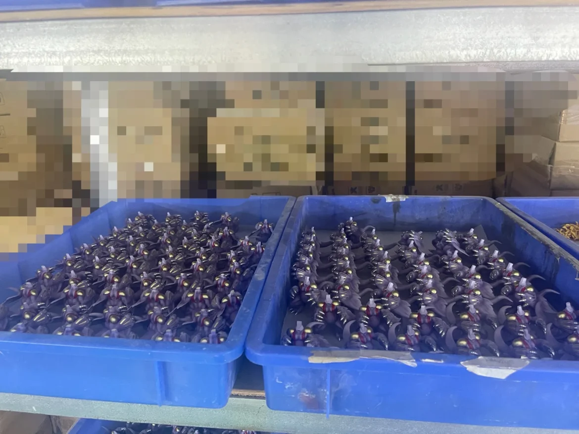 DMX Studio 16 In-Training level Digimon